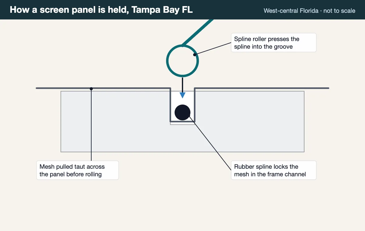 Rescreening diagram: screen mesh pressed into the frame channel and locked with a rubber spline using a spline roller