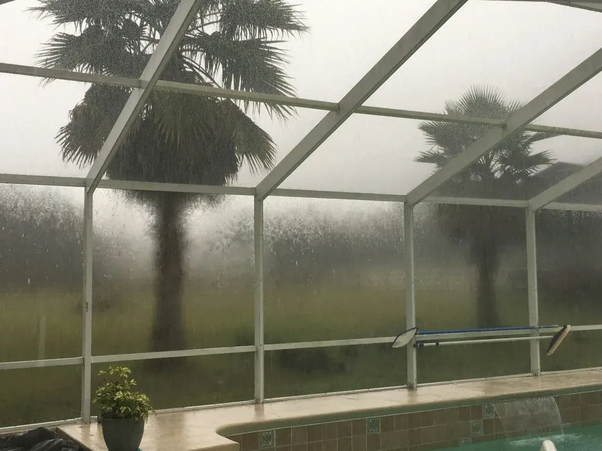 Heavy rain on the screen walls of a white-framed pool cage with palms blurred outside
