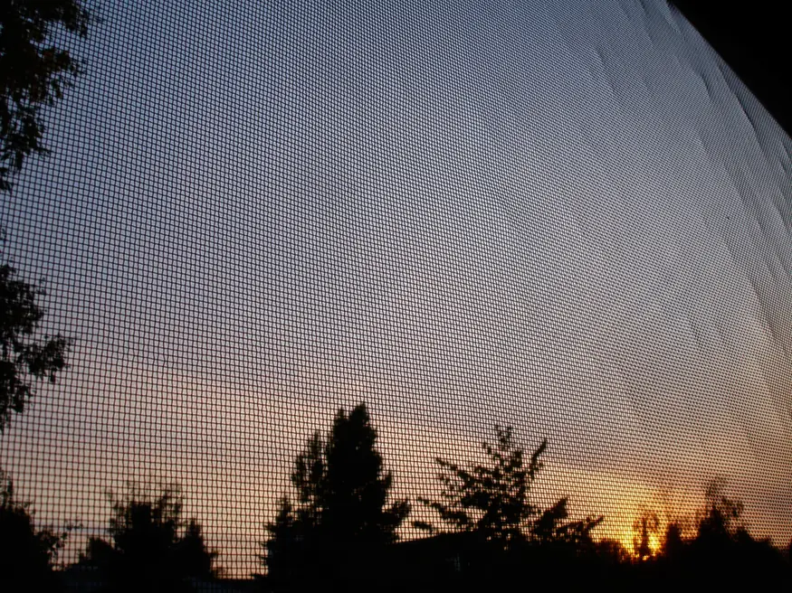 Close-up of fiberglass insect screen mesh against a sunset