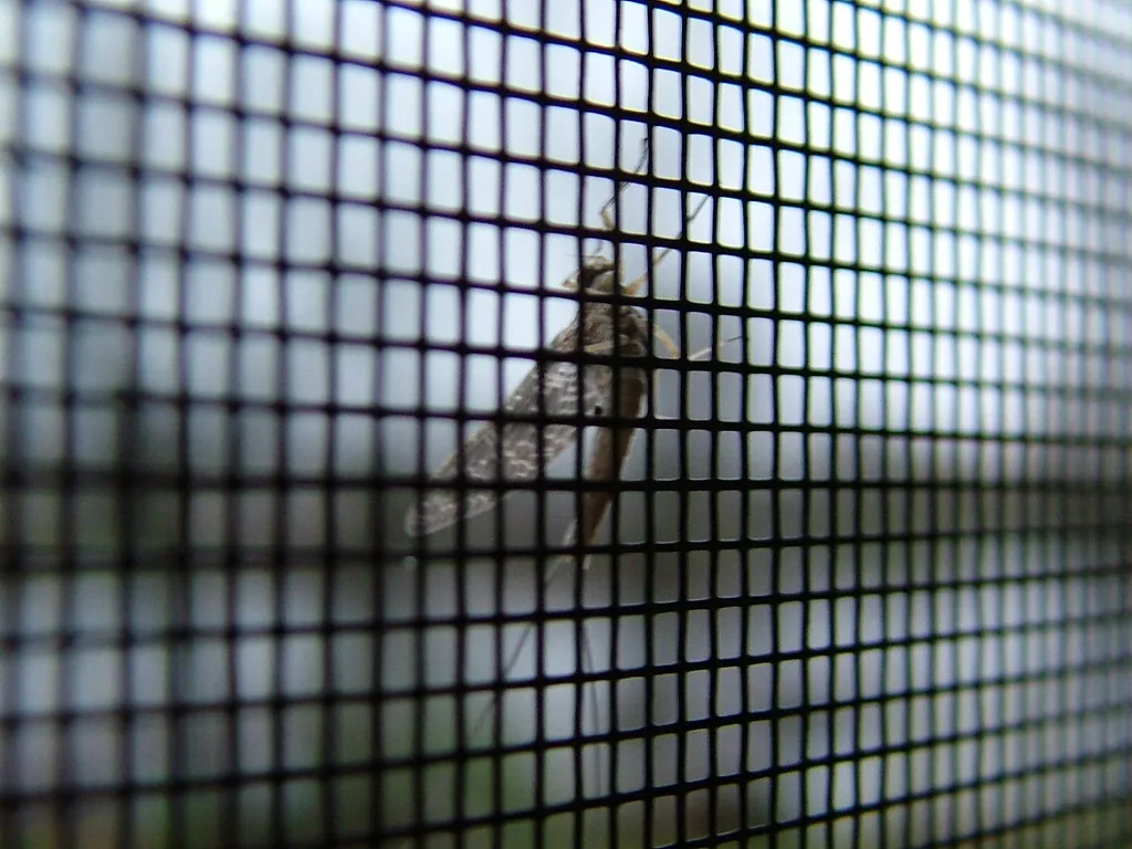 Macro photo of a black insect screen grid with a moth resting behind it