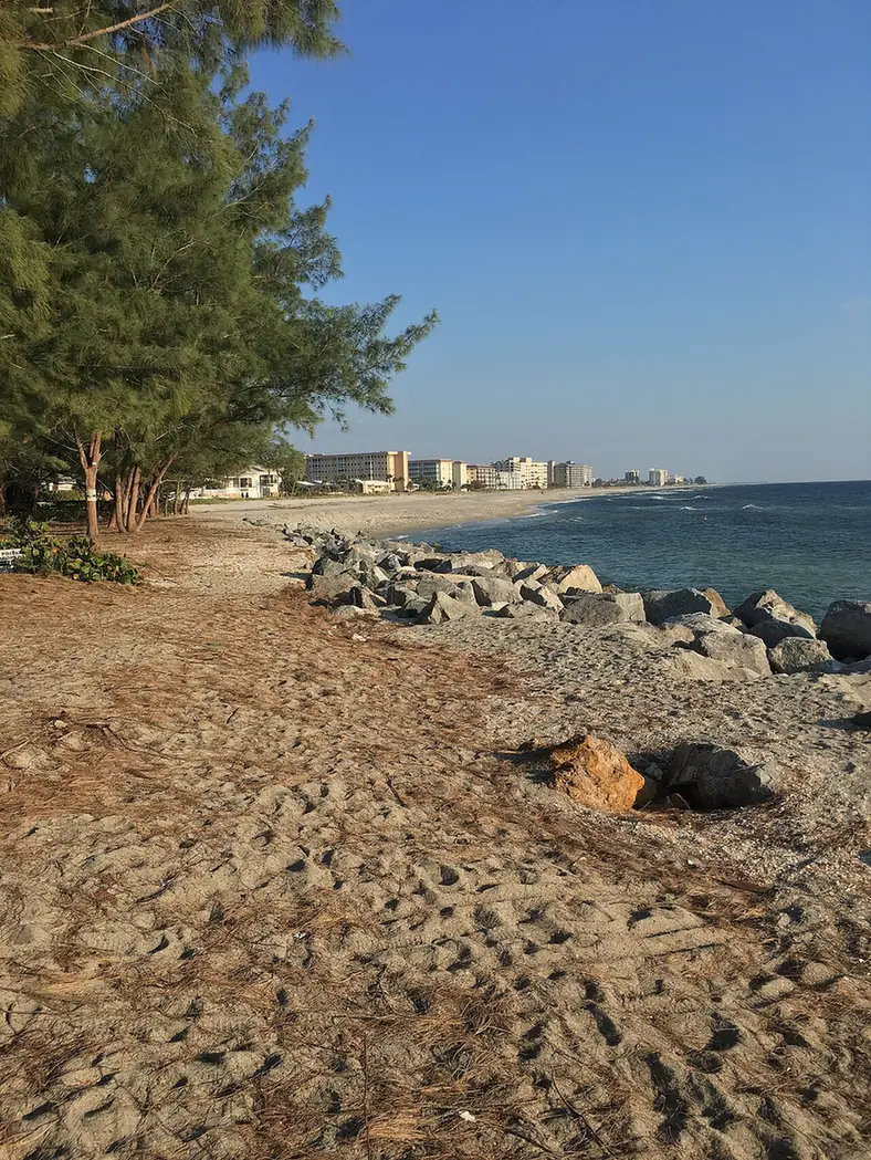 Venice beachfront from Humphris Park with sand, the rock jetty and pines in Venice, FL